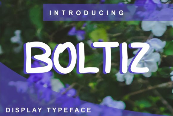 Boltiz: A Versatile Display Font for Digital Designers