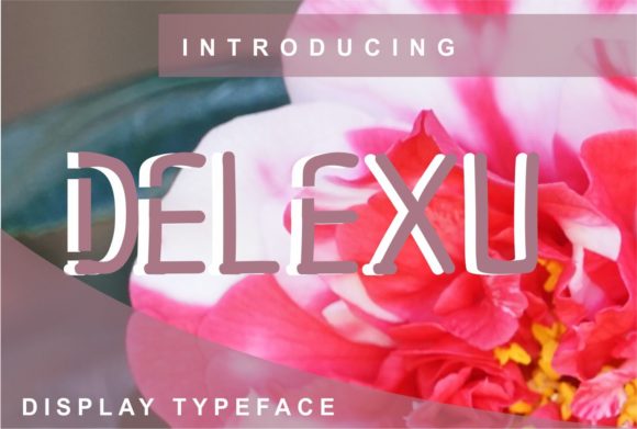 Finding a Versatile Display Font for Branding Projects